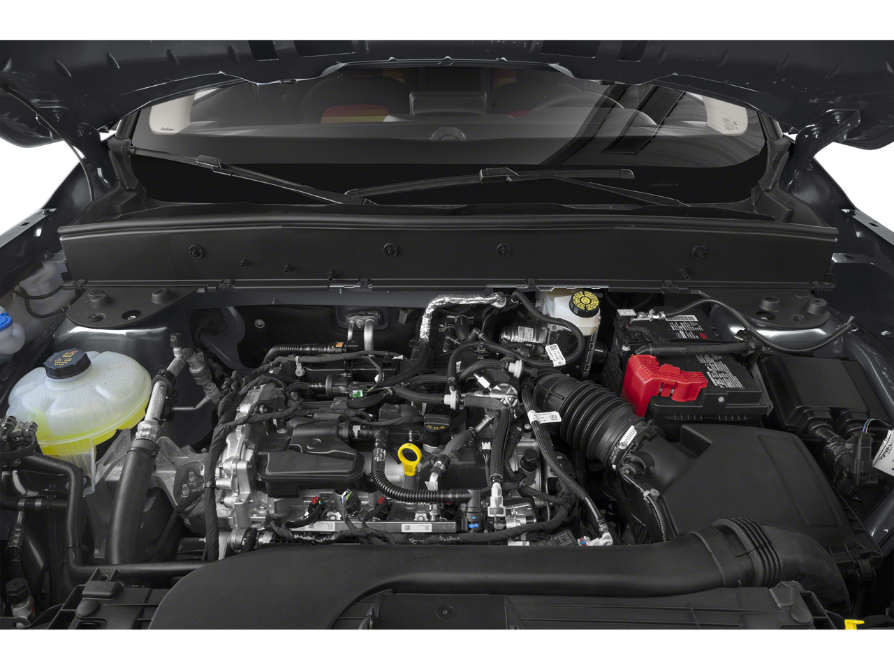 2024 Ford Bronco Sport Free Wheeling