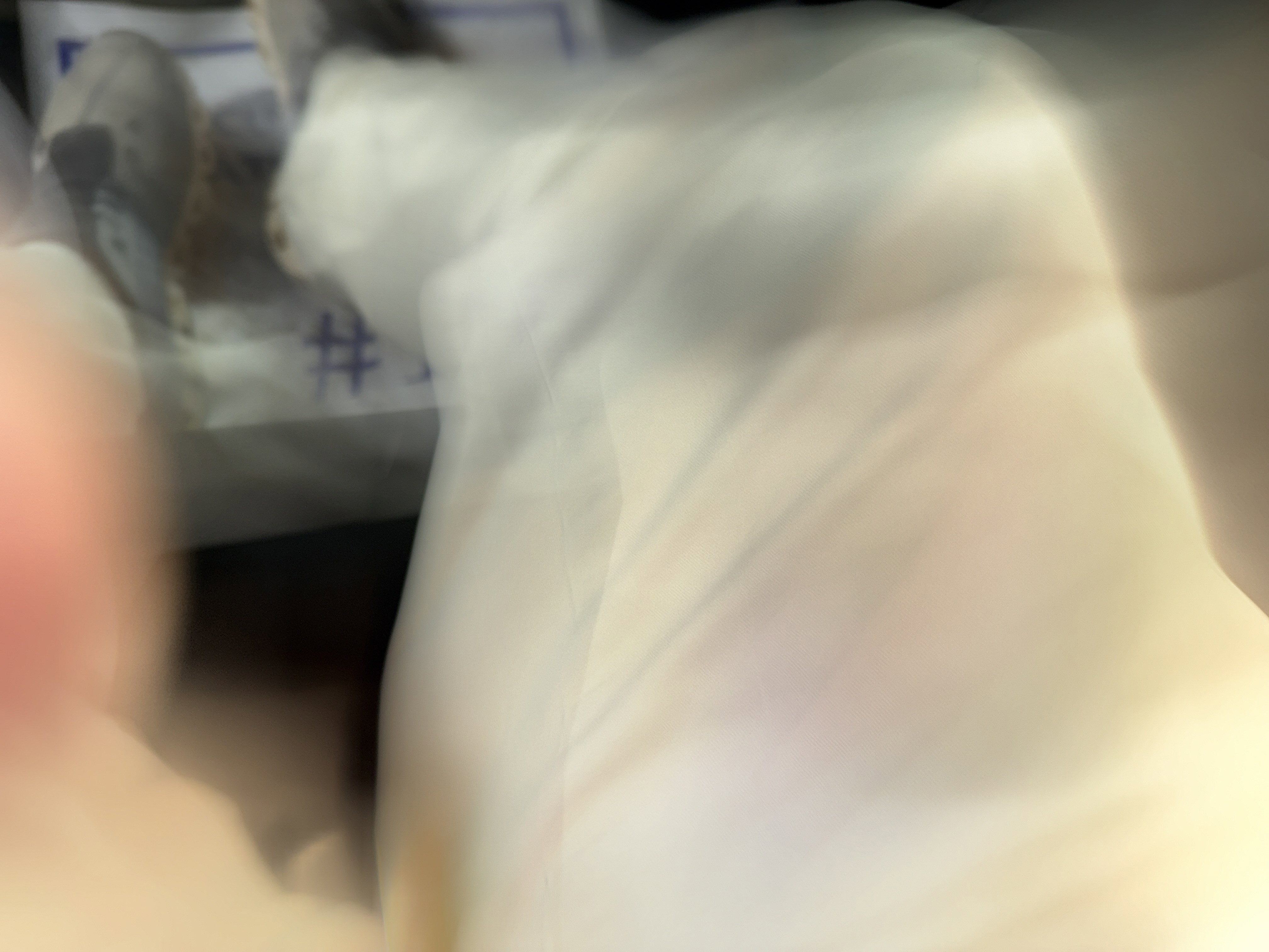 2021 Ford Mustang Shelby GT500