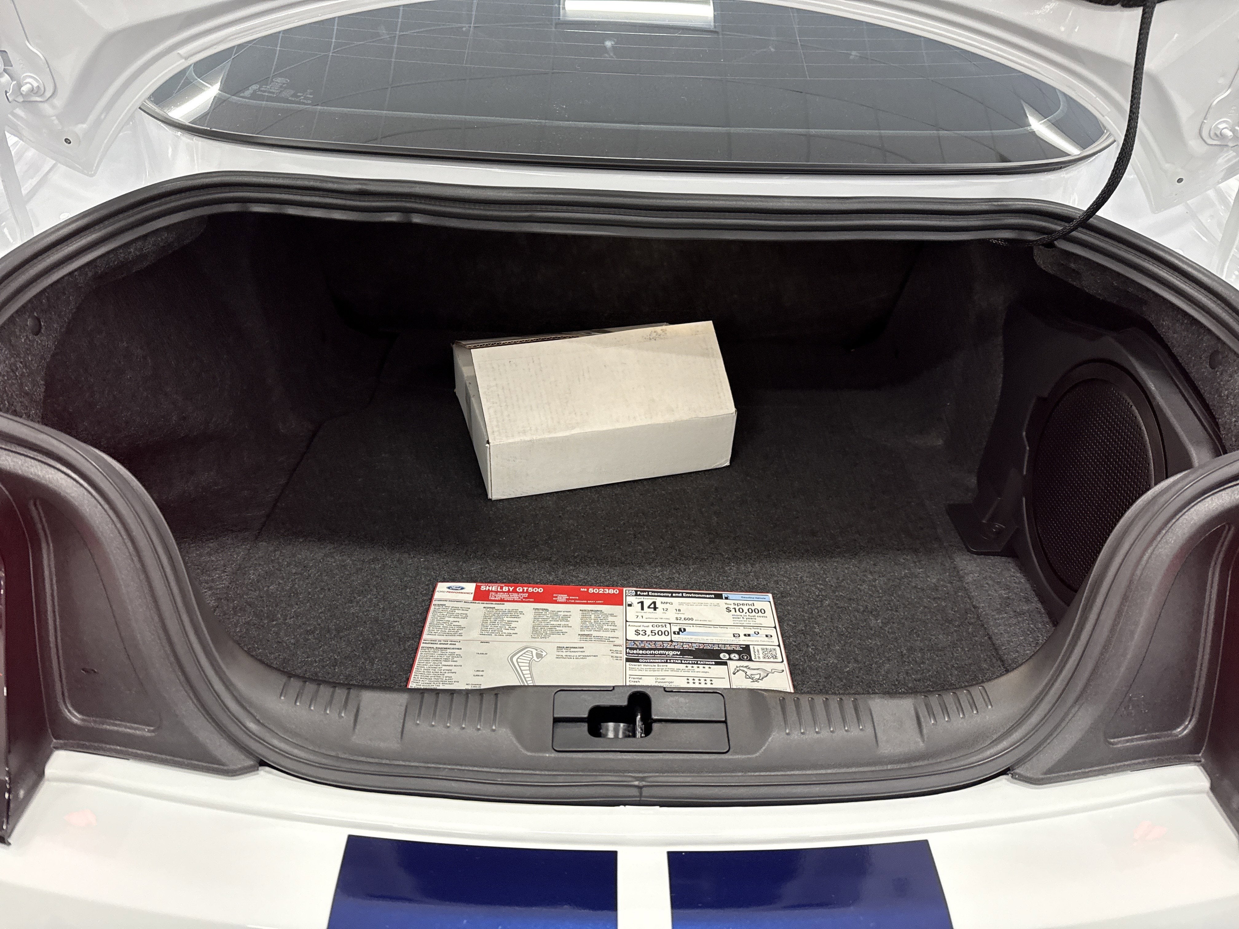 2021 Ford Mustang Shelby GT500