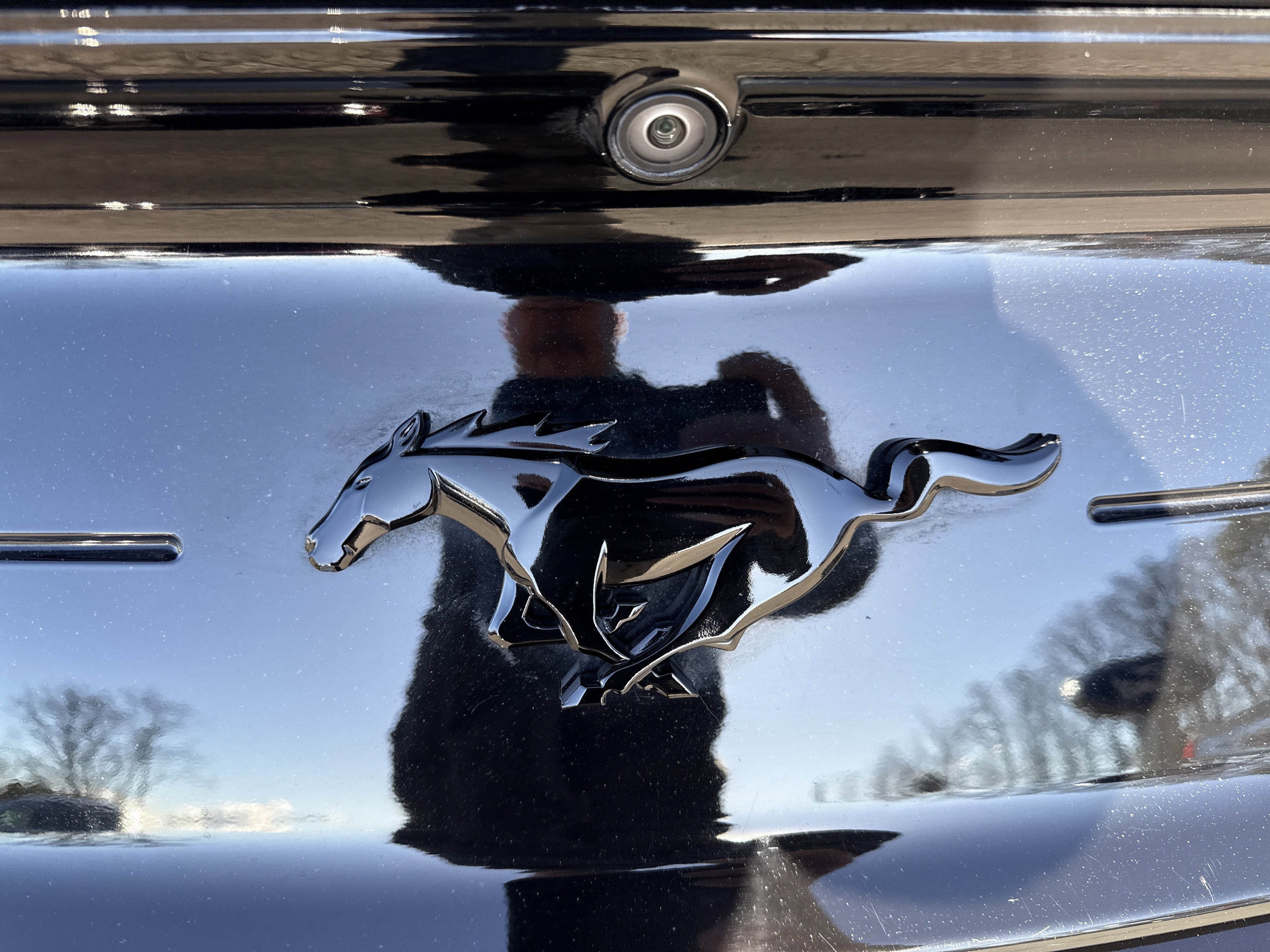 2022 Ford Mustang EcoBoost