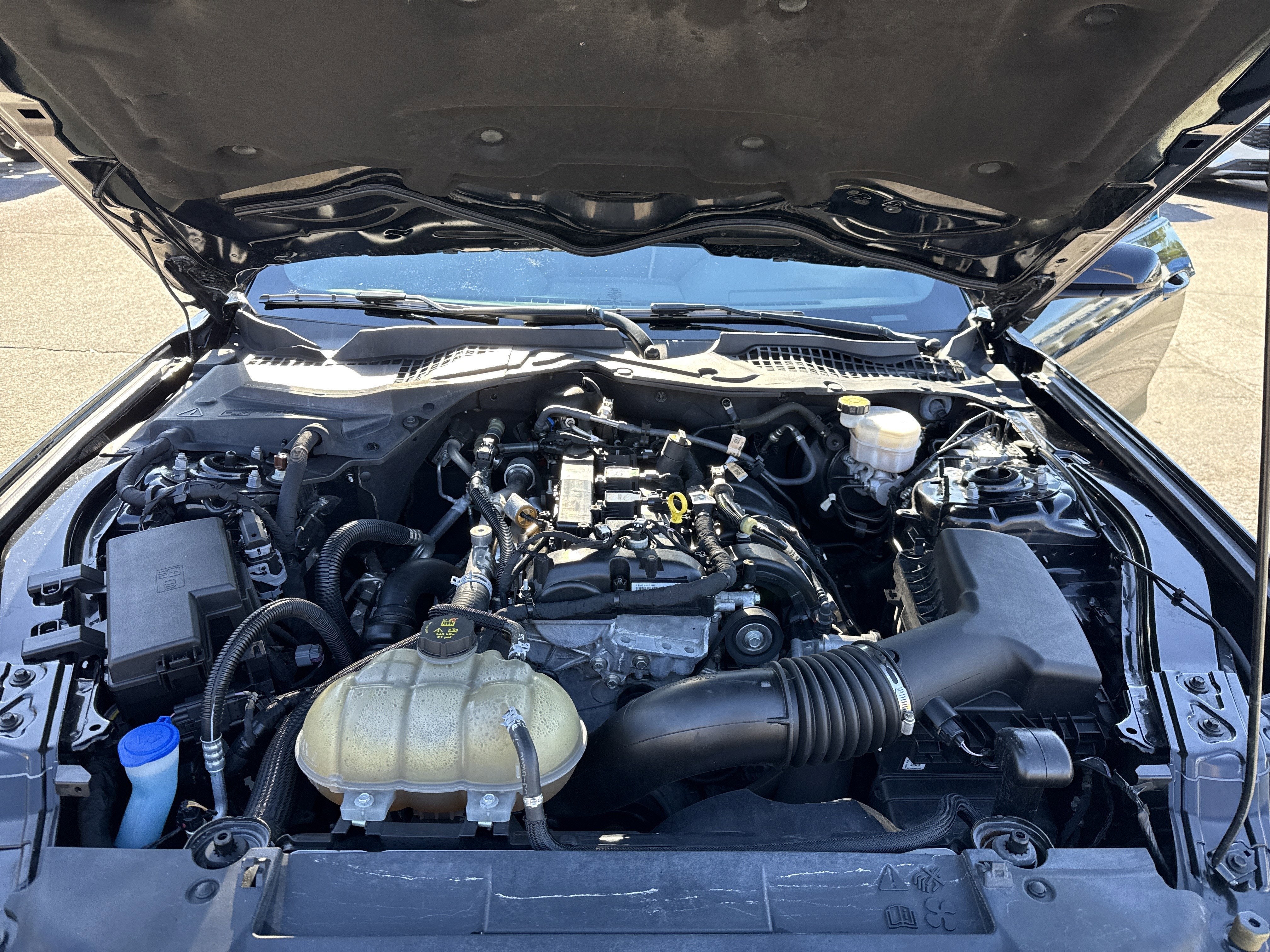 2022 Ford Mustang EcoBoost