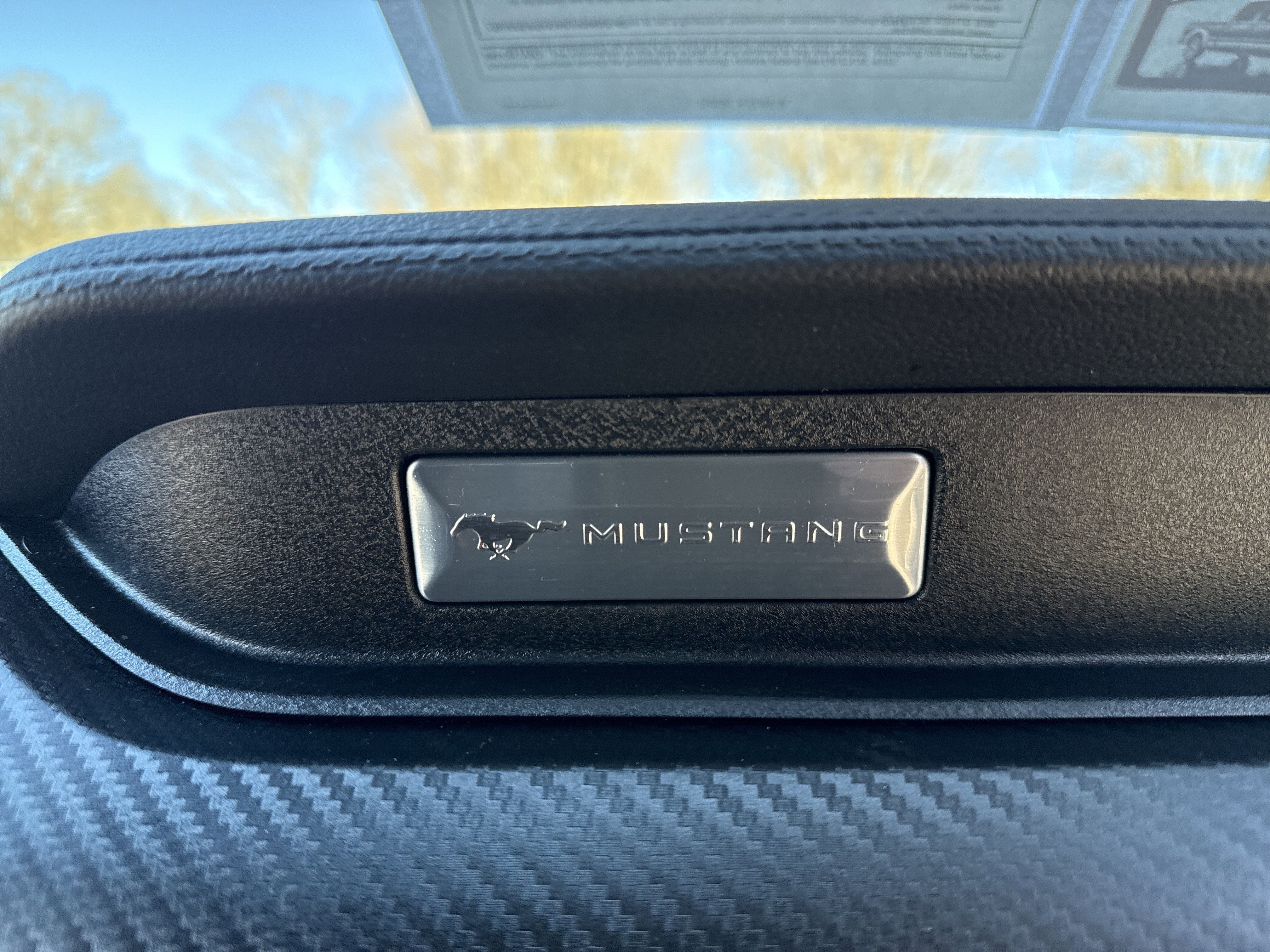 2022 Ford Mustang EcoBoost