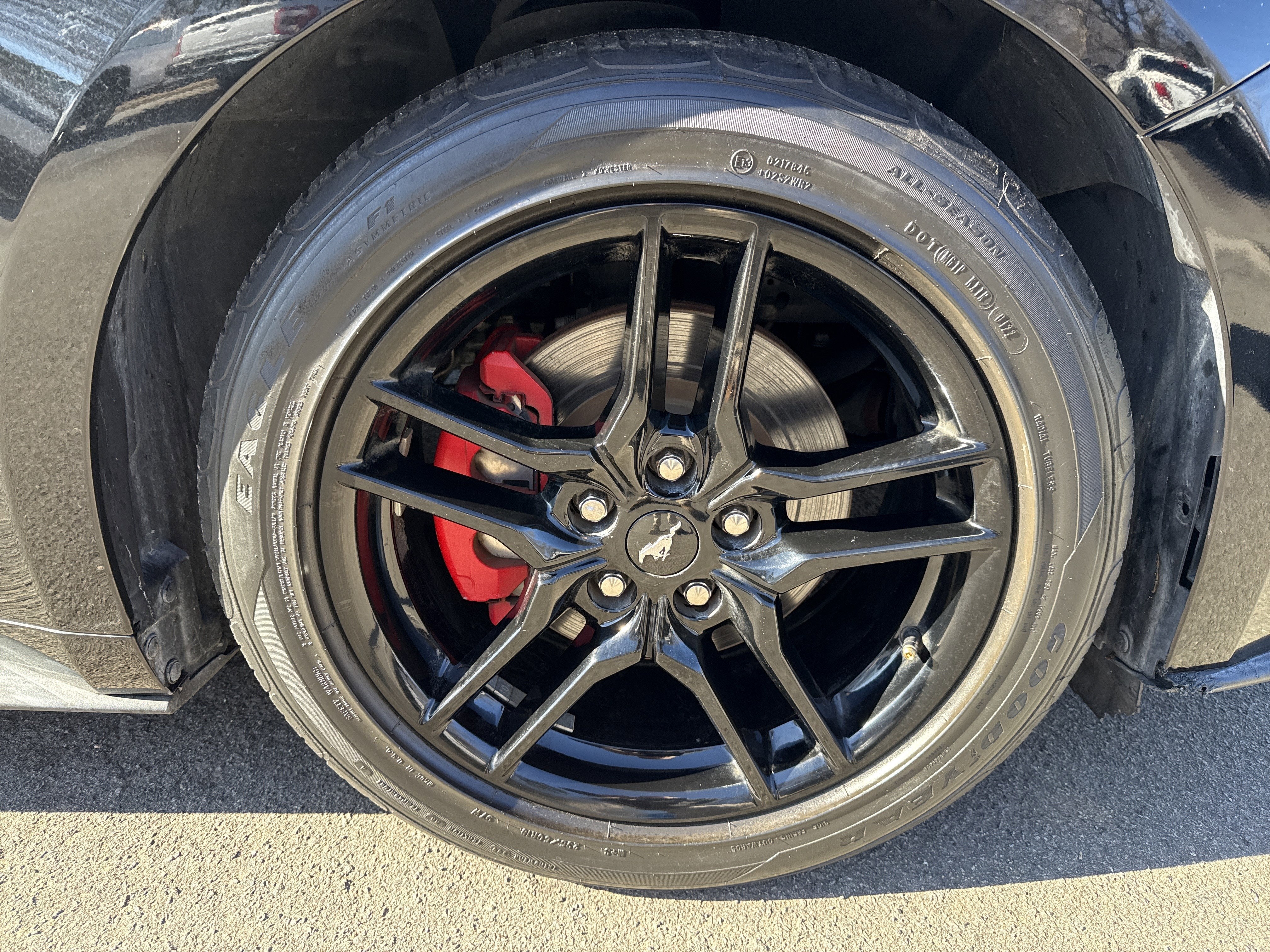 2022 Ford Mustang EcoBoost