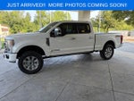 2022 Ford F-250 Platinum