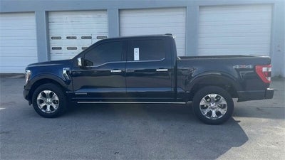 2023 Ford F-150 Platinum
