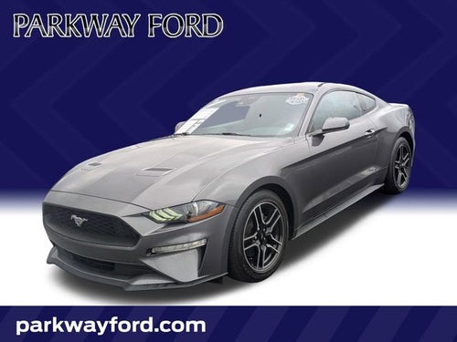 2022 Ford Mustang EcoBoost