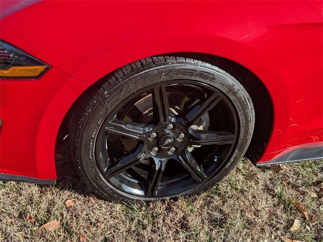 2019 Ford Mustang EcoBoost