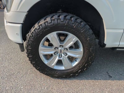 2021 Ford F-150 Platinum
