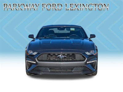 2022 Ford Mustang EcoBoost