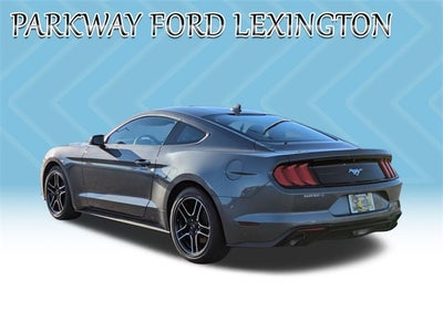 2022 Ford Mustang EcoBoost