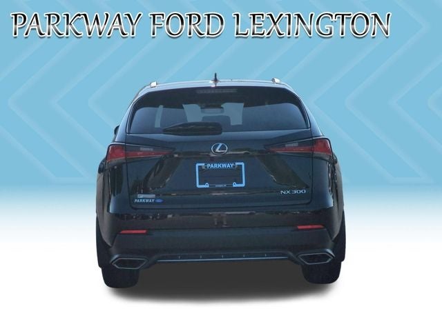 2021 Lexus NX 300 F Sport