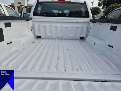 2024 Ford Ranger XL
