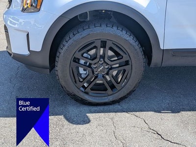 2024 Kia Telluride SX-Prestige X-Line
