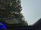 2023 Volkswagen Arteon 2.0T SEL R-Line